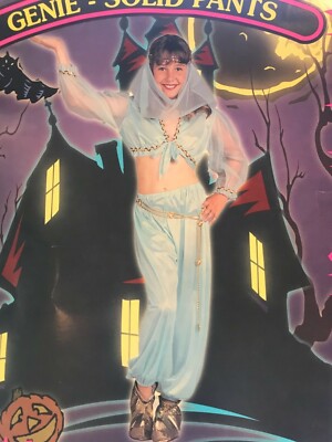 Belly Dancer or Genie Harem Girl Costume