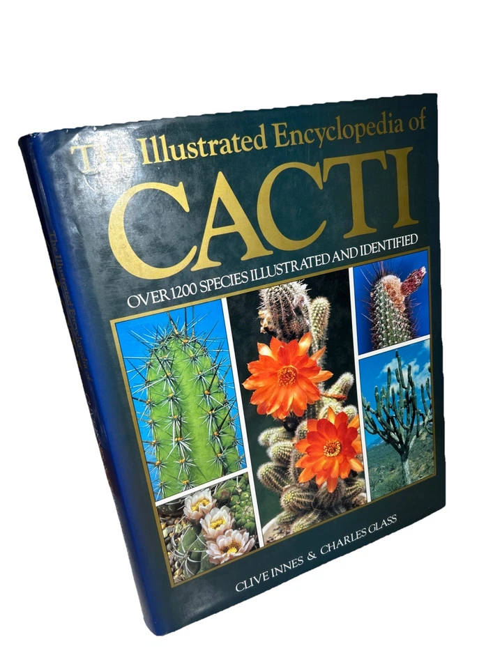 The Illustrated Encyclopedia of Cacti Clive Innes Charles Glass Book - Image 3 of 4