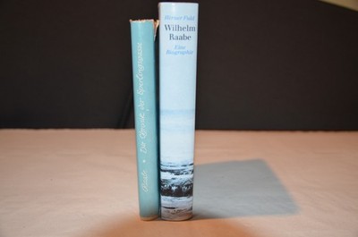 Wilhelm Raabe, Die Chronik der Sperlingsgasse - Werner Fuld, Biographie W. Raabe