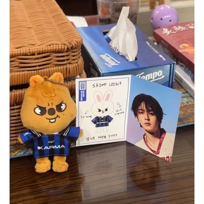 kpop idol Stray Kids KARMA Plush Doll SKZOO Stuffed Toys | eBay