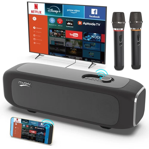 Smart Professional 160W Karaoke Machine, 2 Wireless Mics, Screen Mirror & Cast