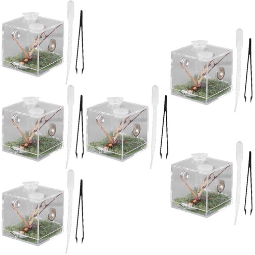 Terrarium Transparent Pour Araignées Sauteuses, Petits Reptiles, Insectes - Avec Aération, Lumière Et Port D'alimentation - Dimensions Variables