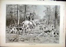 Original Old Antique Print 1892 Hunting Hounds Horse Trees Country Scene 19th