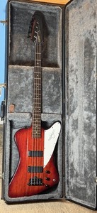 Thunderbird Bass Case | eBay