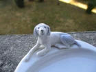 Antique Beautiful Pfeffer Gotha Porcelain Dog Pocket or Ring Ring Ring.
