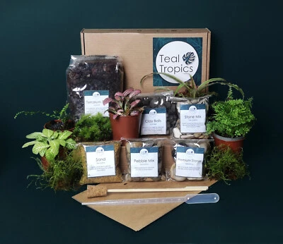 Terrarium Substrate Kit - Soil Wood DIY Pebbles Stones Plants Moss Gift Set