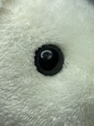 Bild 11 von 13