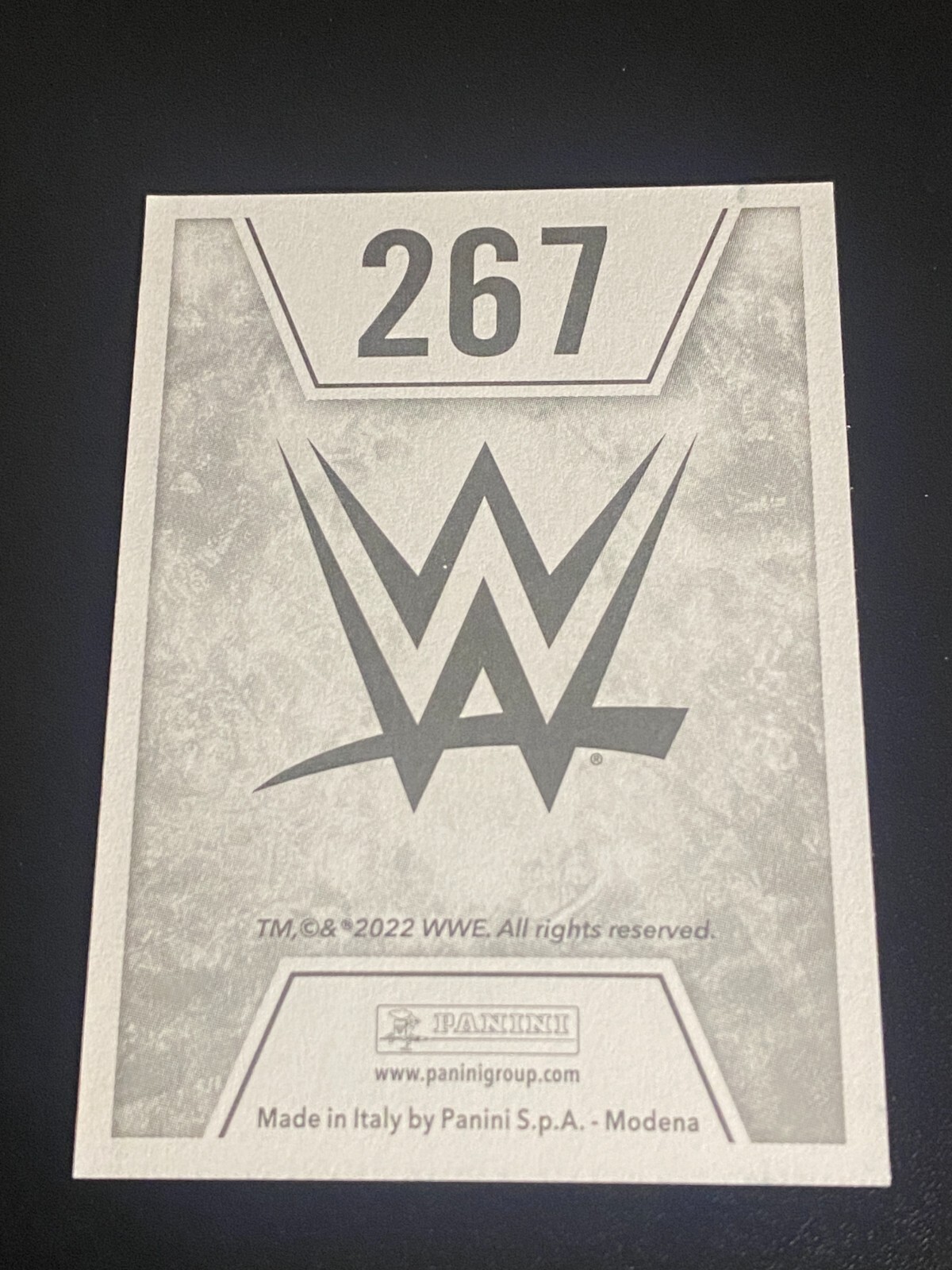 2022 WWE Panini Italy Sticker Logo Ricky Steamboat Macho Man Randy