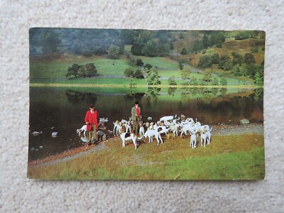 Vintage 19771 Coniston Foxhounds at Rydal Water Echtfoto Postkarte