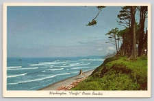 Pacific Ocean Beach State Of Washington Chrome Postcard Unposted