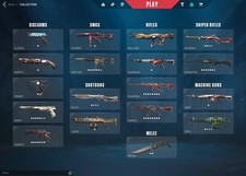 Valorant Account EU | 60+ Skins | Rank Platin 2 | viele Banner + Titel