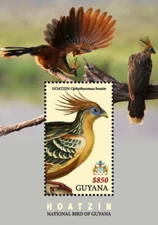 Guyana 2018 - Hoatzin, National Bird - Souvenir Stamp Sheet - Scott #4563 - MNH