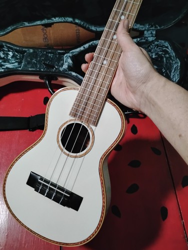 CRAZY RARE UKULELE CONCERT WHITE GOLD W CASE 2013 BILL TAPIA 1 OF 120 MADE NICE!