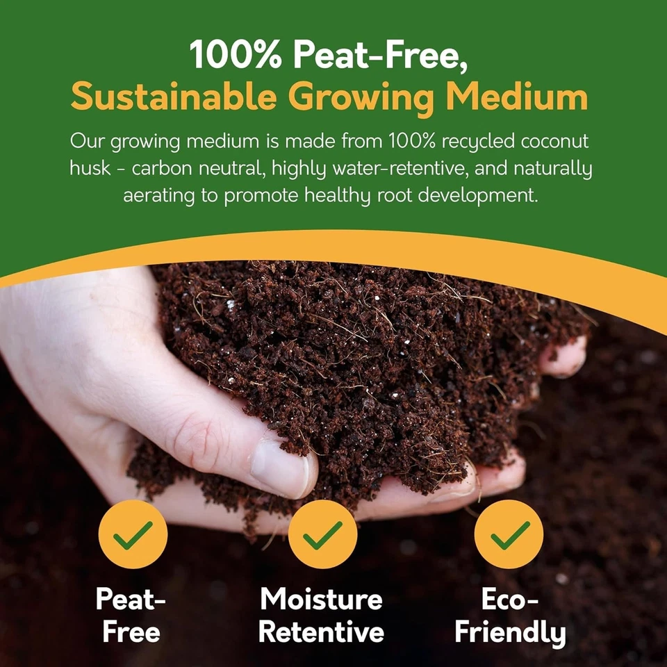 Herb Seeds | Grow Your Own Kitchen Herb Garden Kit | Gardening Gifts - Image 2 of 4