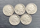 Lot Of 5 1937 P Buffalo Nickel Philadelphia Mint Full Date Horn And Tail Visible