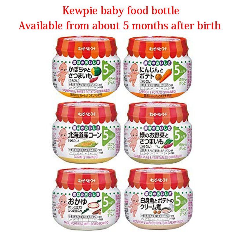 pigeon baby food maker set