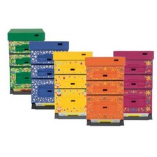 Arnia 10 favi POLISTIRENE con doppio melario Dadant verniciata e stampata - v...