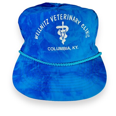 Wellnitz Veterinary Clinic Hat Cap Mohr's Tie Dye Blue Adjustable Vintage