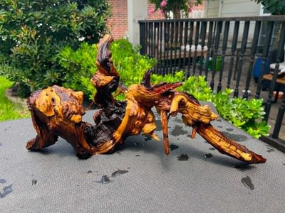 DRIFTWOOD MOPANI AQUARIUMS FISH REPTILES DECOR PET SUPPLIES GARDEN AQUASCAPING