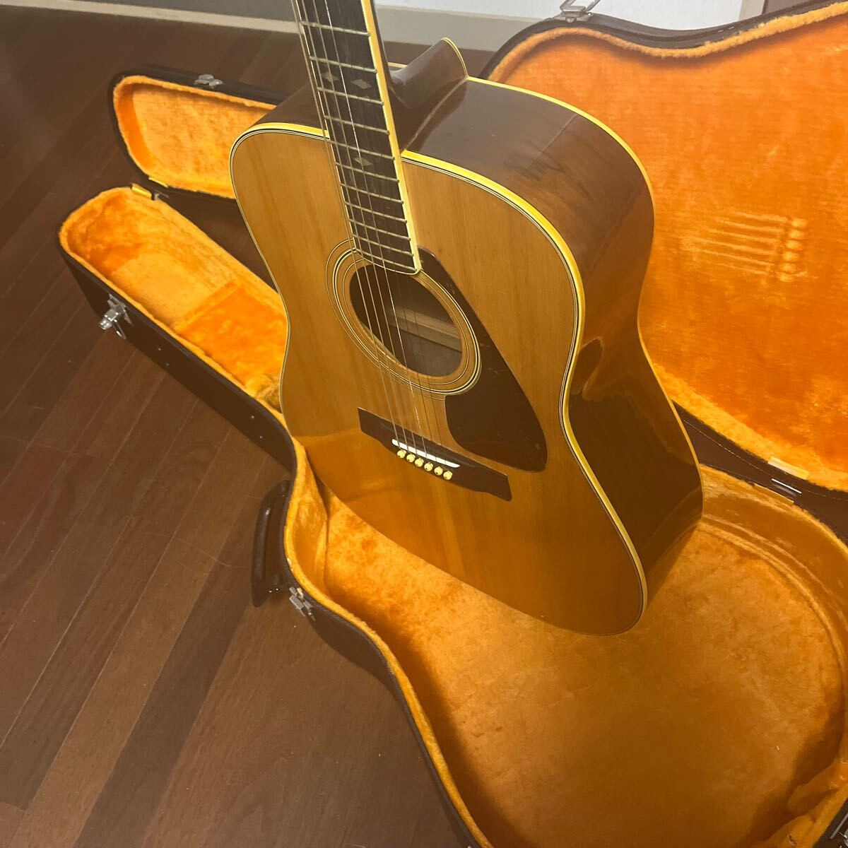 Guitar Case Item Luxury | eBay