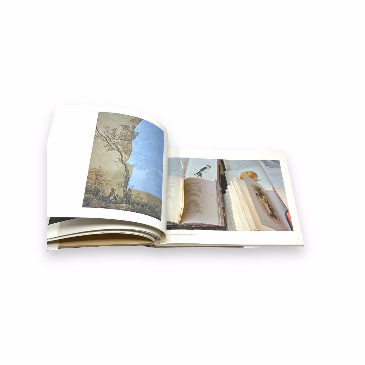 It's beautiful here, isn't it/GHIRRI, Luigi / 2008/ First It's beautiful here, isn't it/GHIRRI, Luigi / 2008/ First