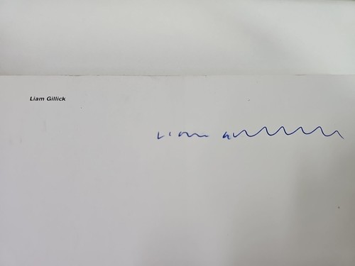 SIGNED Liam Gillick by Michael Archer (Paperback, 1999) - 第 7/8 張圖片