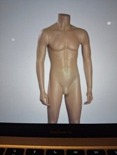 HEADLESS MANNEQUIN JAMES FIBERGLASS  RETAIL DISPLAY SHOP FITTINGS