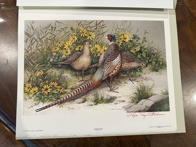 Roger Tory Peterson Ring-Necked Pheasant Bird Print 11x14 Hand Signed Vintage