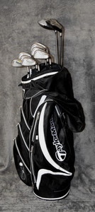 Set De Fers TaylorMade SLDR 9 Pièces (4-PW, AW, SW) - Droitière, Shafts NS PRO 930GH Rigides, Occasion Modérée