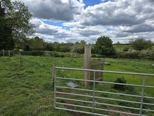 1 x farm gate, 200 mtrs of 5" wire mesh fencing and 40 off 5" 5ft to 8ft posts