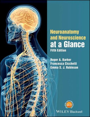 Neuroanatomy and Neuroscience at a Glance | Emma S. J. Robinson (u. a.) | Buch