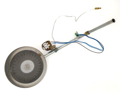 Burner Pilot/Flame Sensor Assembly Bradford White Water Heater  PAX250T6BN13