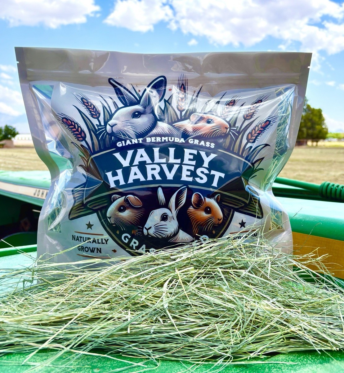 Grass Hay for Rabbits, Guinea Pigs, Chinchillas, Hamsters, and Tortoises!