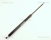 Triscan Heckklappen DäMpfer Gasfeder Kofferraum 8710 29261 FüR A6 Audi C6 Avant