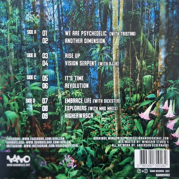 Avalon ‎– Rise -- LTD Psy-Trance Vinyl -- Super Rare Record - Nano Records - Image 2 of 4
