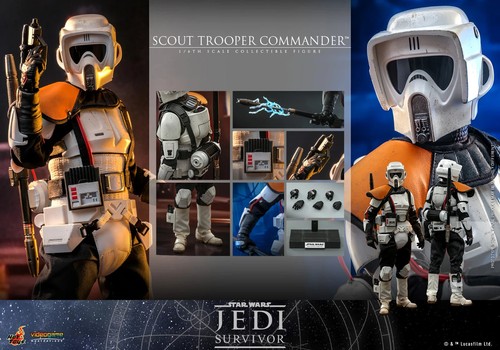 1/6 Star Wars Jedi Survivor Scout Trooper Commander Figure Hot Toys VGM53 912278 - Picture 7 of 7