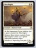 2020 MTG Time Spiral Remastered Regular Uncommon - NM - Mycologist 29/289