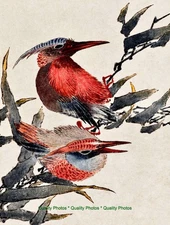 Red Birds on a Tree Branch 8.5x11" Photo Print Katsushika Hokusai Japanese Art
