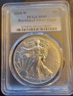 2018-W American Eagle SP-69 PCGS Burnished Art Bullion -0.999 Silver 1 Oz Coin g