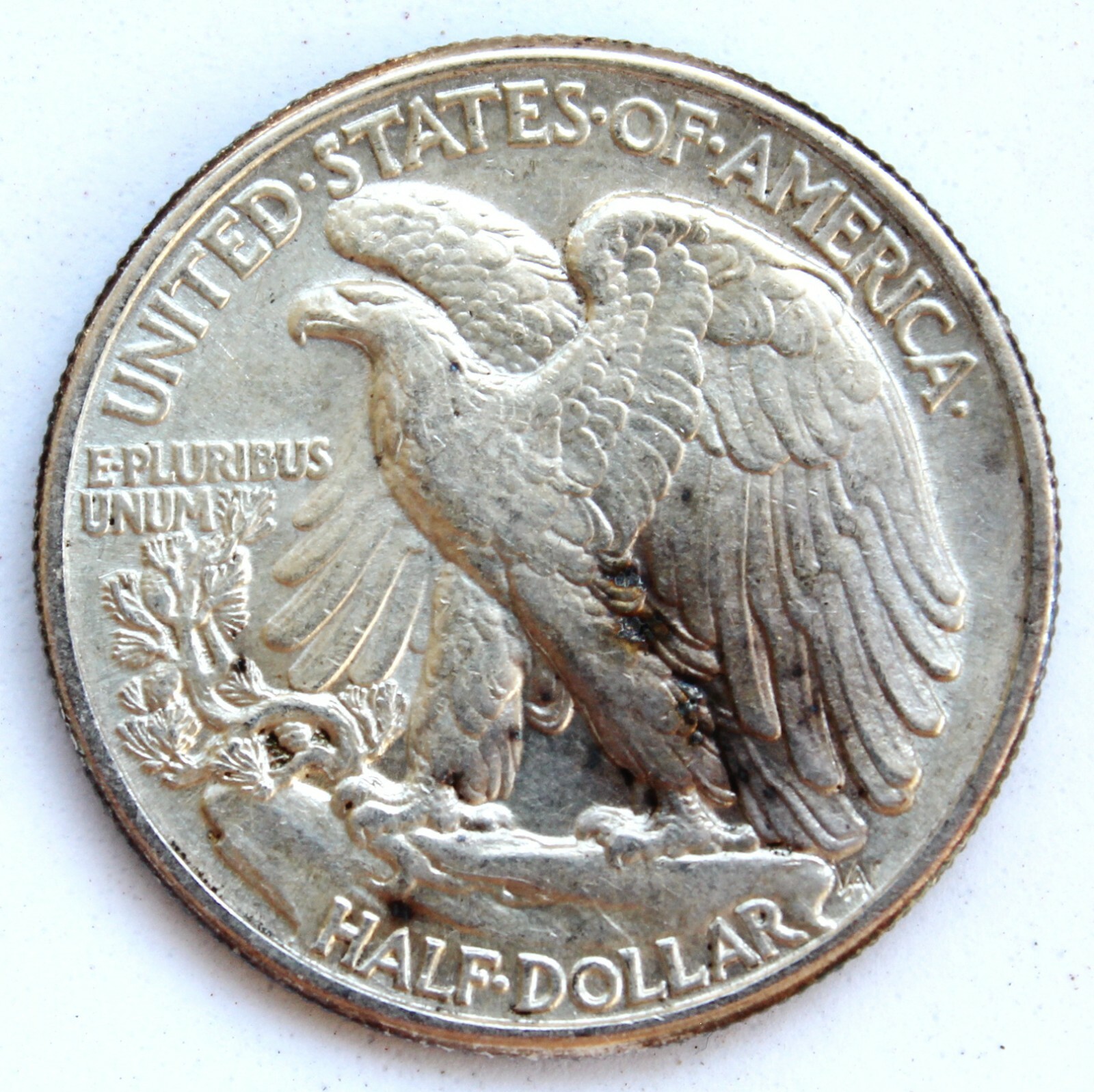 Picture 2 of 2