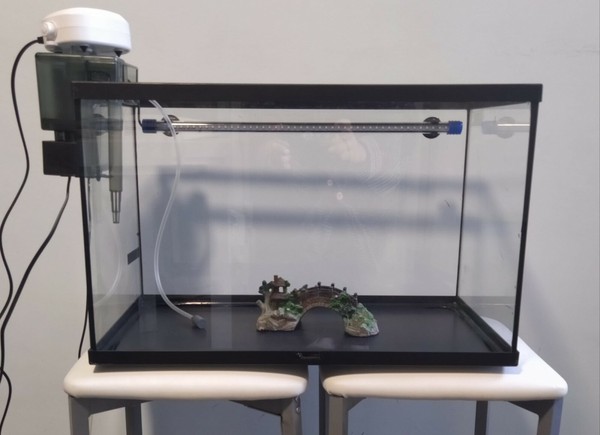 Acuario completo de 55L en buen estado (luz, filtro, oxigenador, adorno)