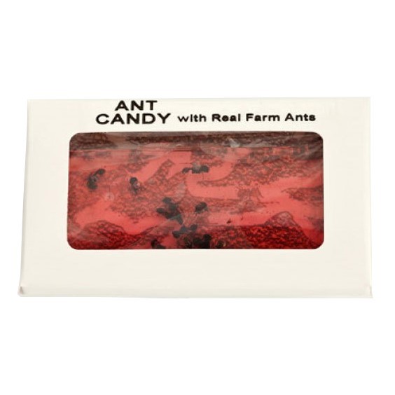 Hotlix Ant Candy Real Farm Ants Insects Cherry Flavor Sugar Free Hard