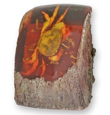 Un fossile artificiel d'ambre représentant un crabe réplique design rétro décora