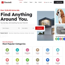 Classified Ad Websites Design for Sale with Free VPS Web Hosting