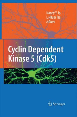 Nancy Y. Ip (u. a.) | Cyclin Dependent Kinase 5 (Cdk5) | Taschenbuch | Englisch