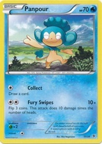 Pokemon Panpour 11/39 Kalos Starter Set Common HP