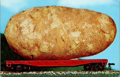 We'll Grow Them Bigger GIANT POTATO on Train Car Postcard