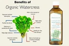 Watercress oil Egyptian Natural Pure oil for Healthy and Strong Hairزيت الجرجير
