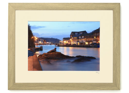 Seal statue, River Looe, Cornwall. 7x5", A4 or A3 photograph mounted or framed - Picture 1 of 13