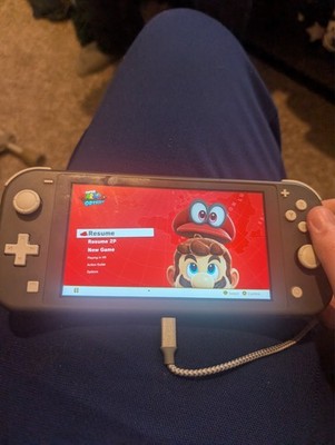 Nintendo Switch Lite Gray Handheld System